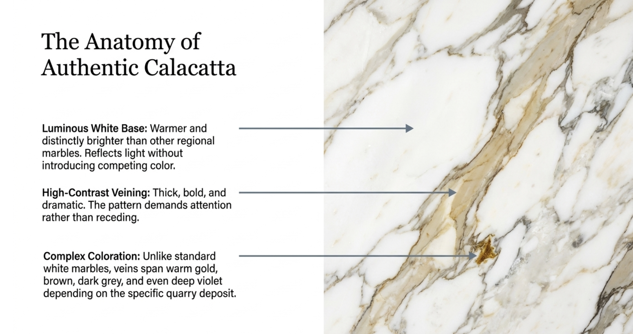 What Is Calacatta? The Complete Guide to Marble, Quartz, and Porcelain